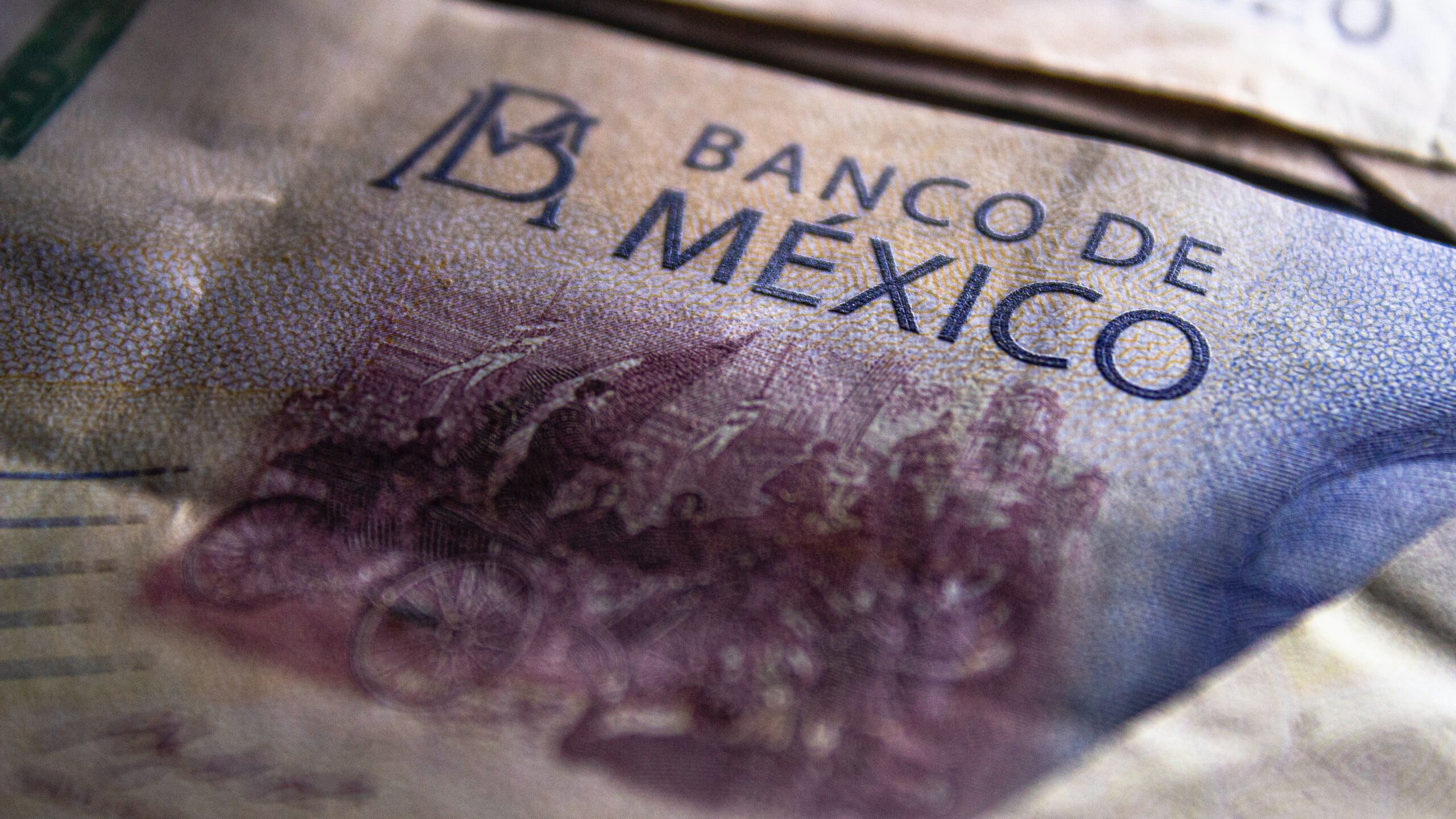 ¿Llegó el momento de solicitar financiamiento?
