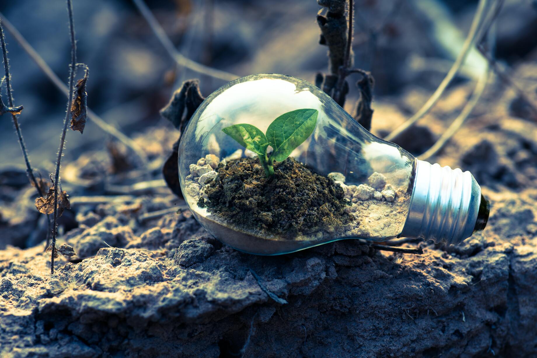 Economía Circular para PyMEs