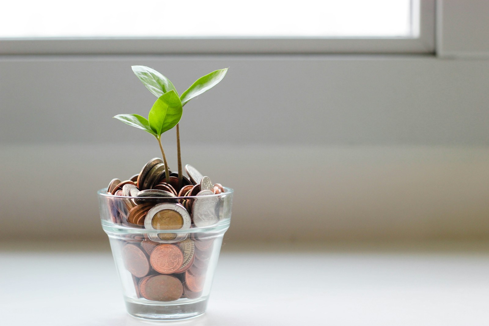 3 ‘tips’ para pagar el crédito de tu PyME sin ahogarte en deudas