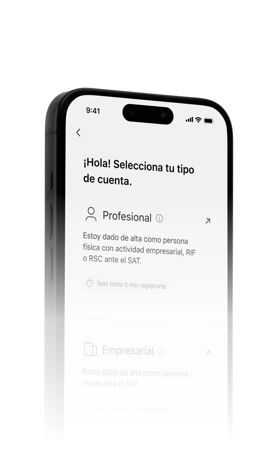 Pantalla de la app para elegir una cuenta Profesional